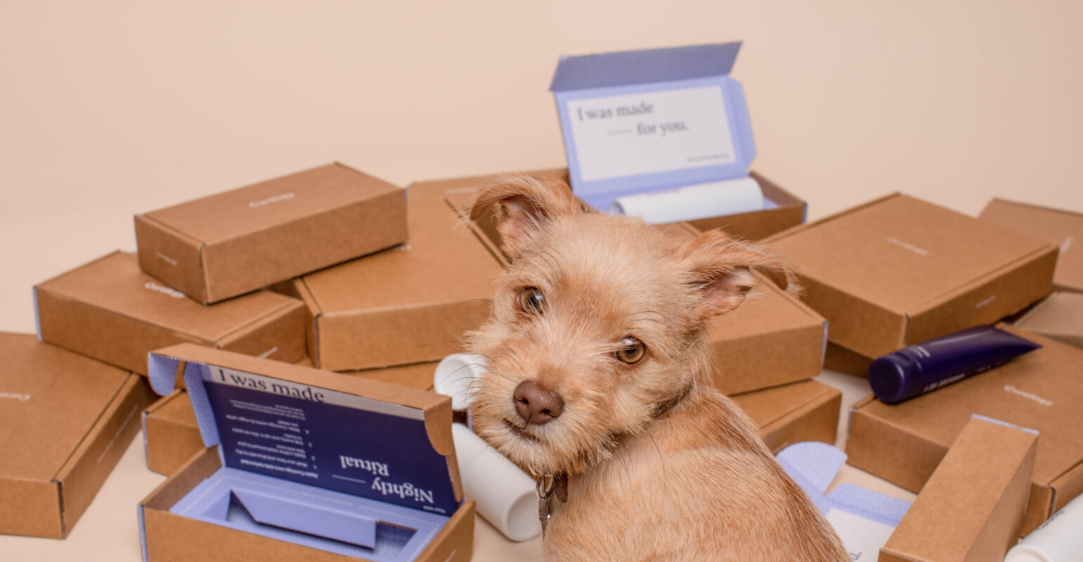 E-Commerce Lösungen